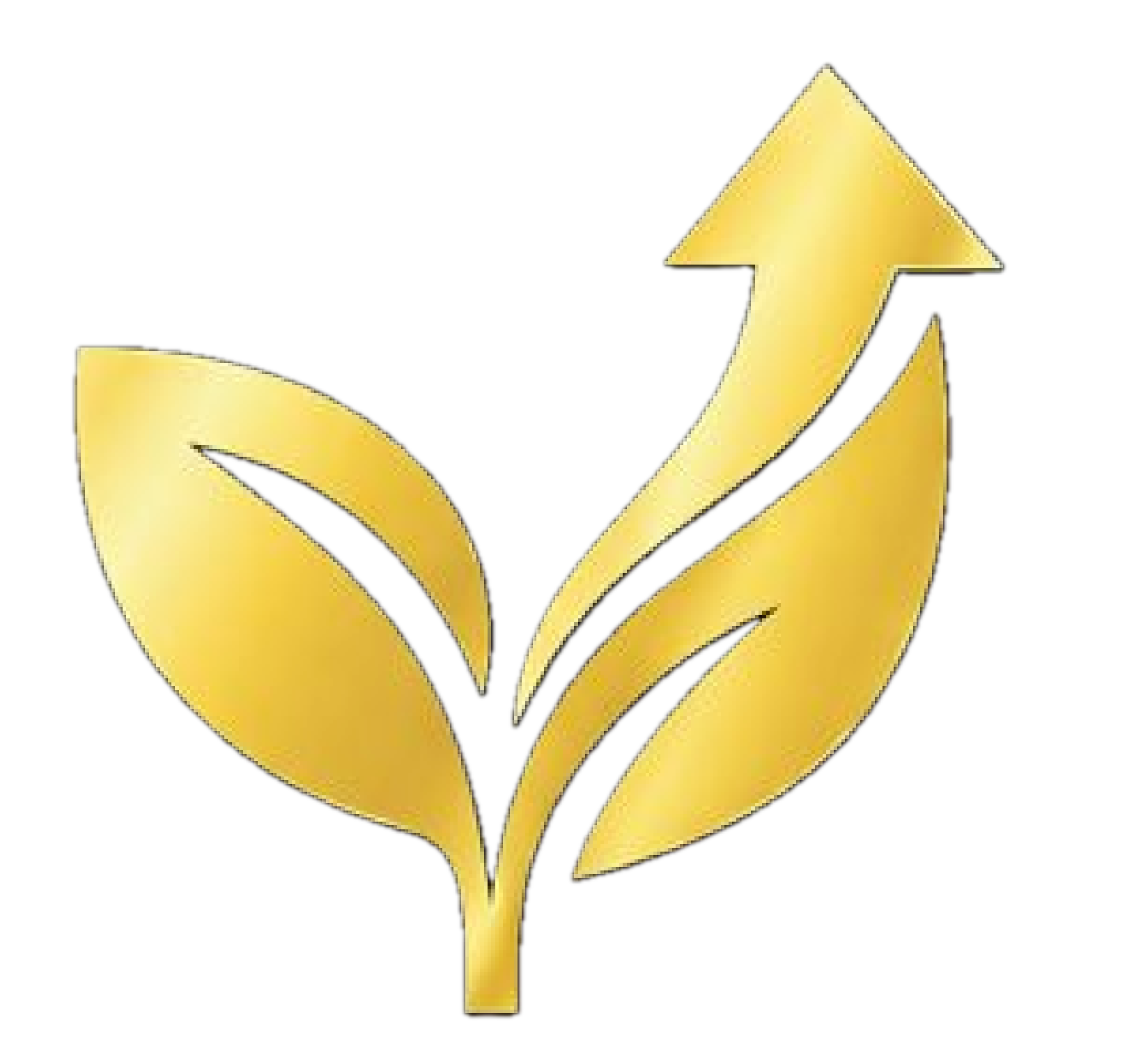 Change & Grow